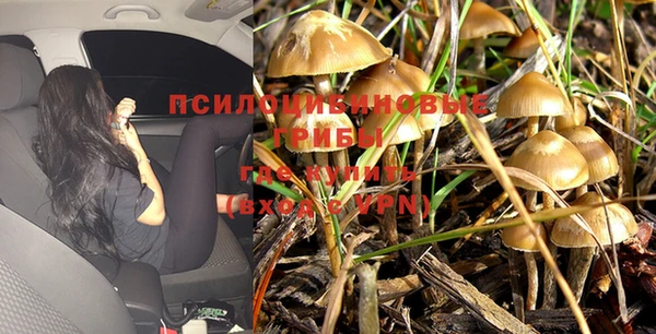 марихуана Балабаново
