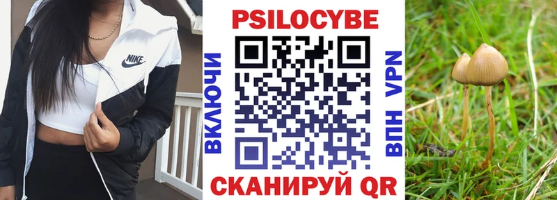 даркнет сайт  Усть-Илимск  MEGA ТОР  Псилоцибиновые грибы Psilocybe 